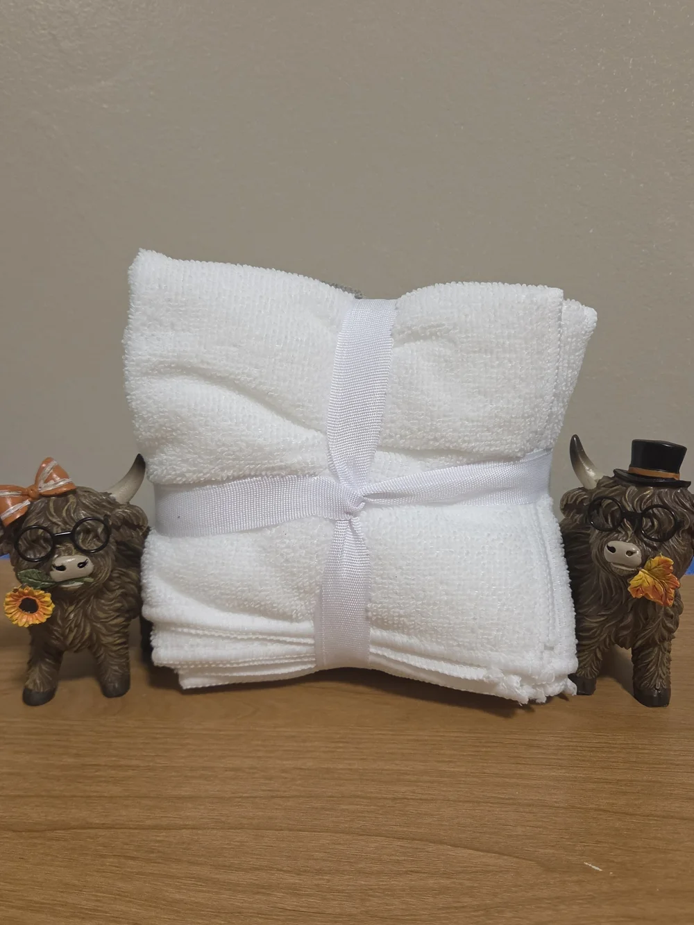 Hotel Spa 8-Pack Washcloths - Microfiber